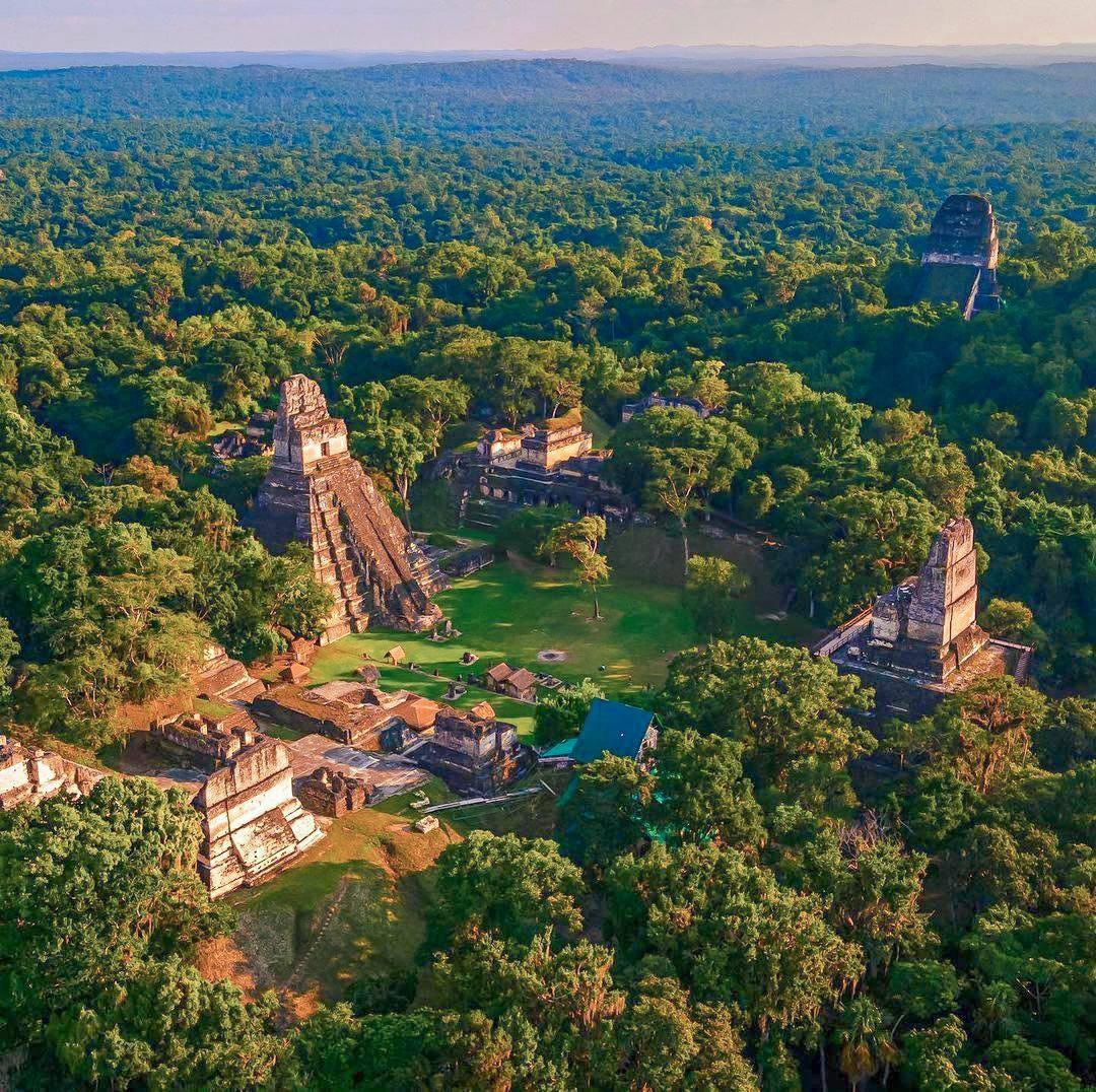 Luftbild von TIKAL: die großen Maya-Pyramiden ragen aus dem Regenwald, in der Mitte der Hauptplatz
